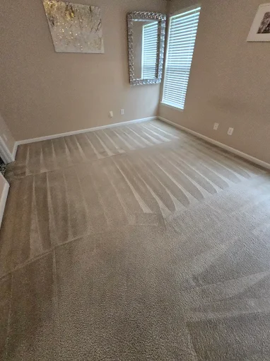 Traffic lane carpet cleaning results in a Charlotte metro home