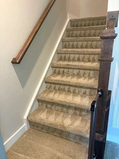Pet stain and odor treatment on bedroom carpet