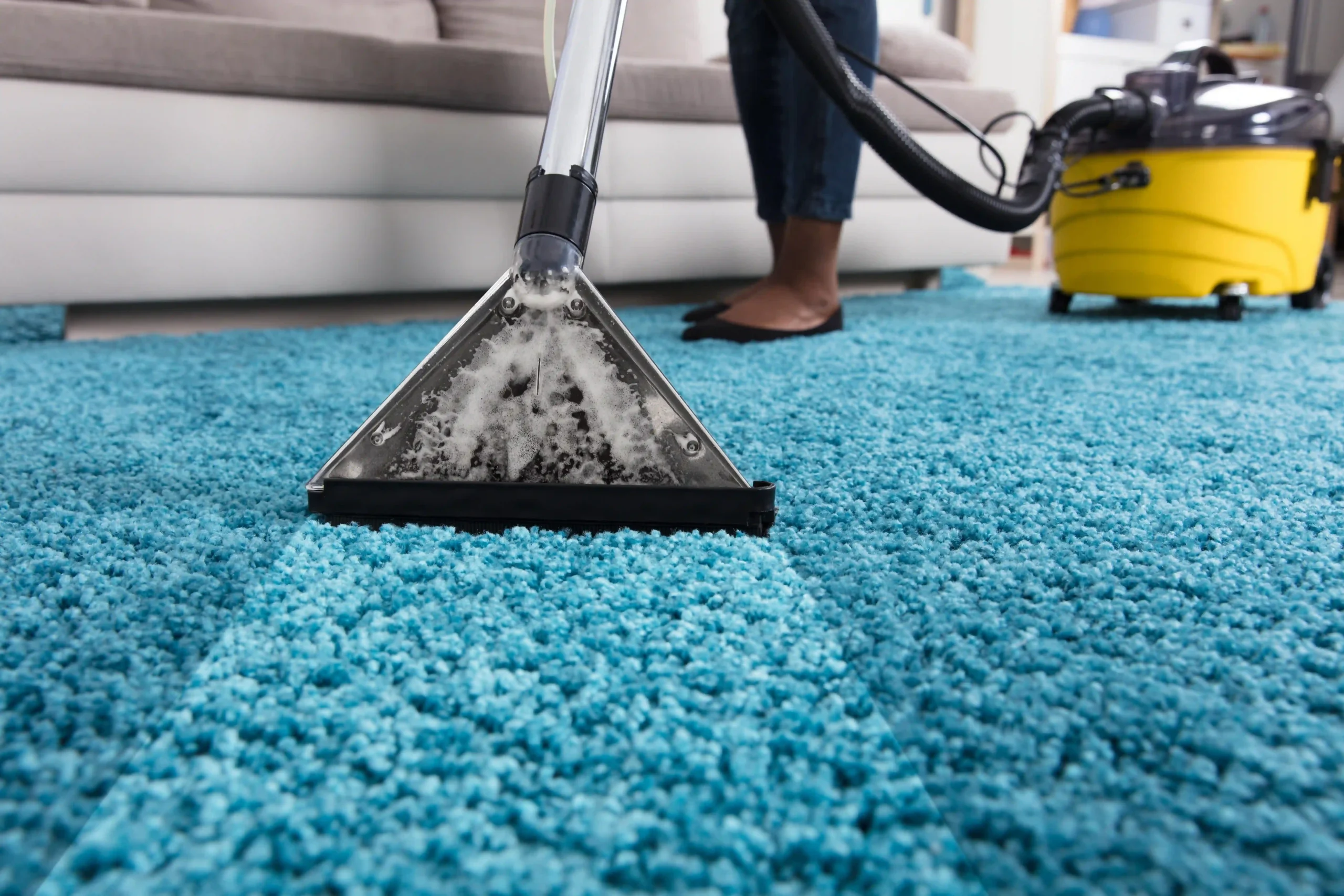 Carpet being steam cleaned in a Charlotte, NC home