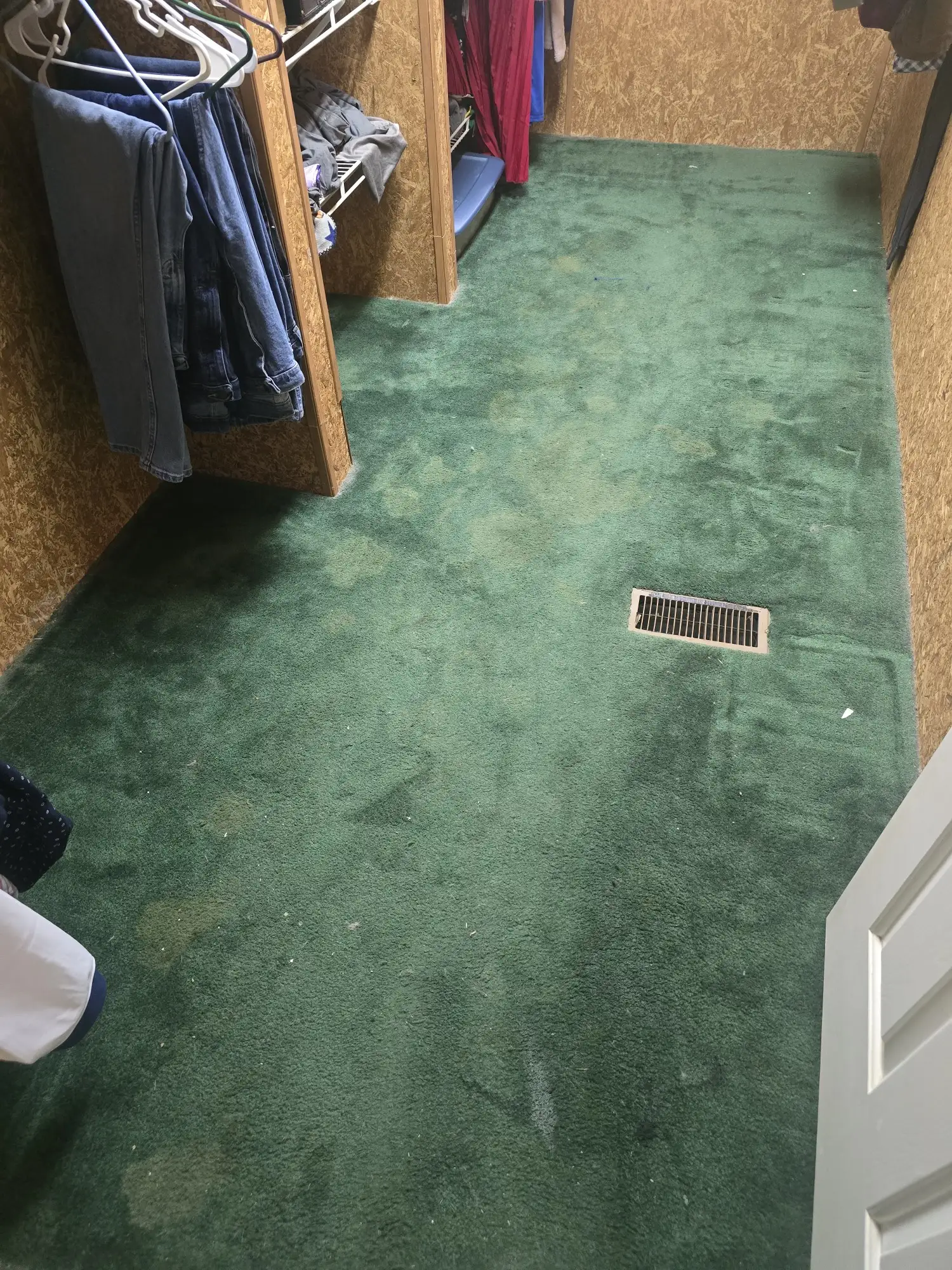 Commercial carpet cleaning in a Charlotte, NC office