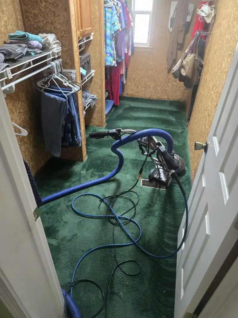 Rotovac deep steam carpet cleaning in progress