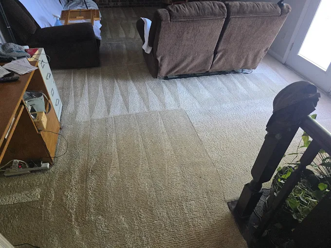 Carpet steam cleaning in a Charlotte, NC living room