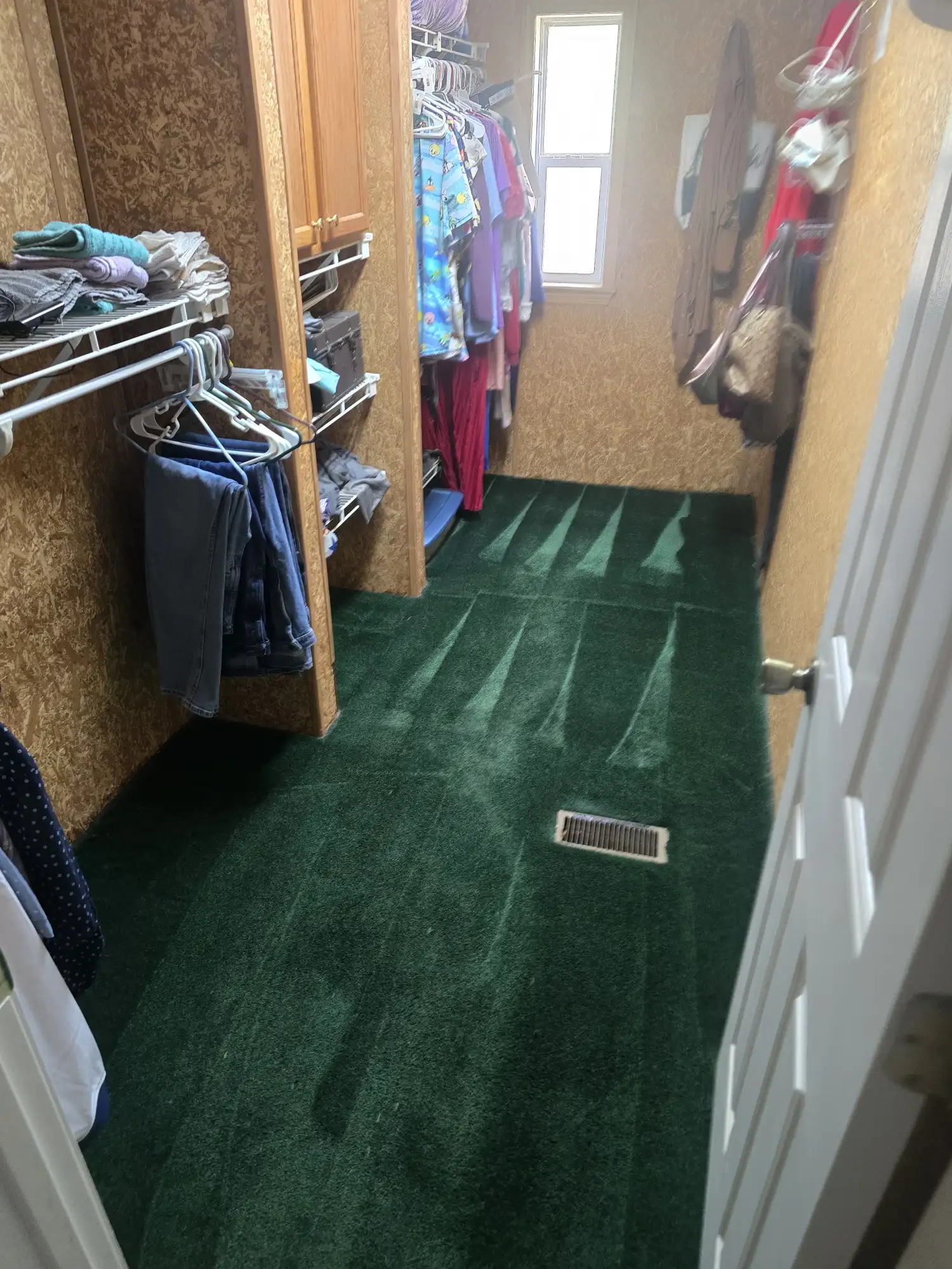 Move-out carpet cleaning in a Charlotte rental property